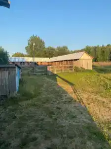 Алексеевское - 30