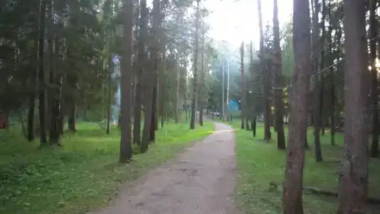 Лесной Родник - 47