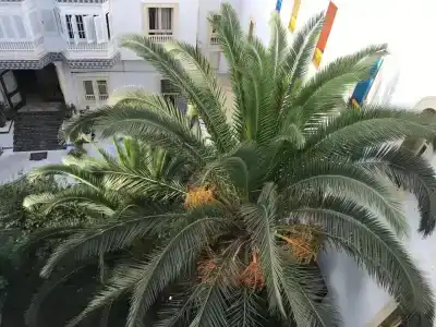 Residence Mahmoud - 18