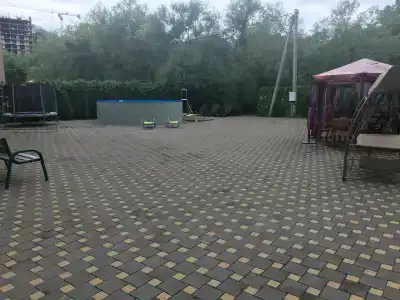 Каштан - 55