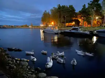 Самая Ладога - 1