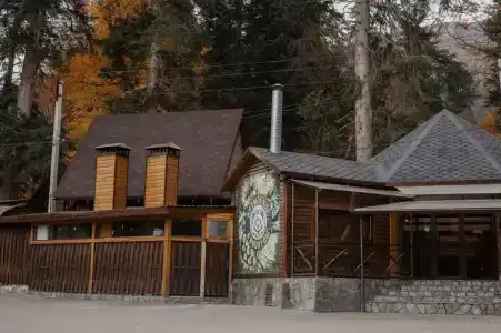 Ёлки House - 0