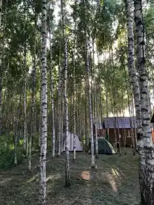 Серебряный Ключ - 10