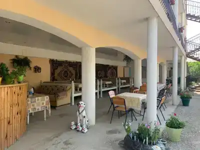 Амир-Дани - 14