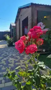 Бунгало Волна - 21