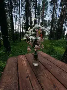 Канада - 88
