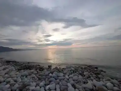 Энергетик - 31