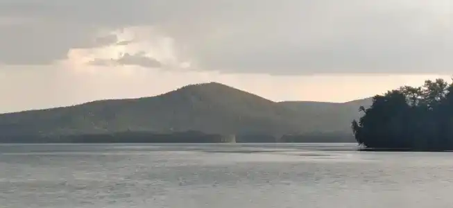 Лесная поляна - 14