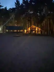 Сосновый бор - 53