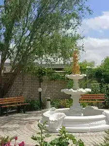 Альбатрос - 38