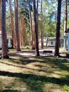 Чайка - 0