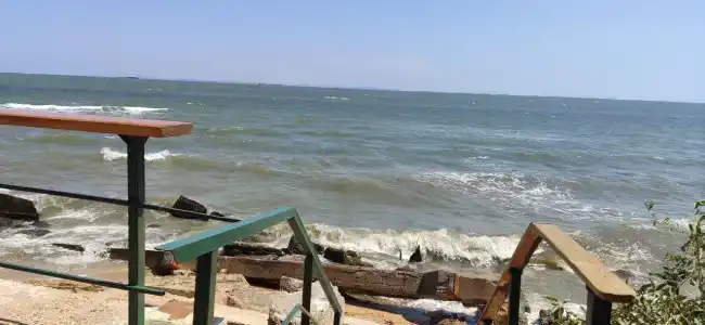 Жемчужный - 85