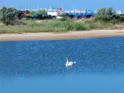 Песчаный Берег - 16