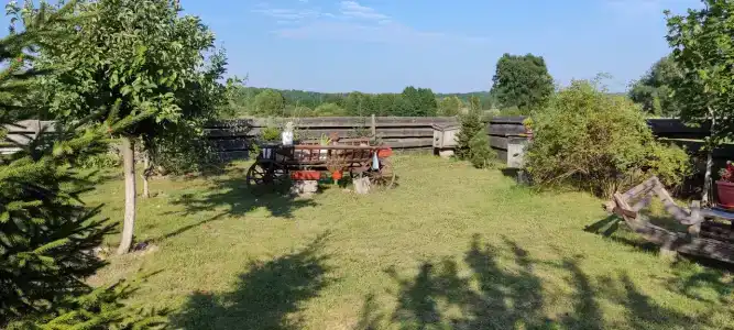 Беловежское Поместье - 82