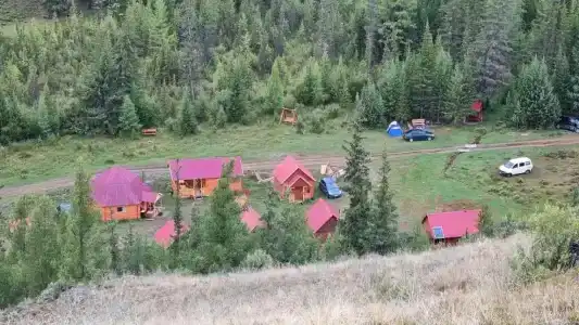 Ясная поляна - 8