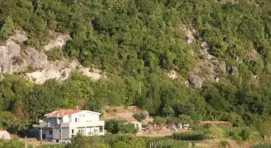 Vržina Farm House Skadar Lake - 0