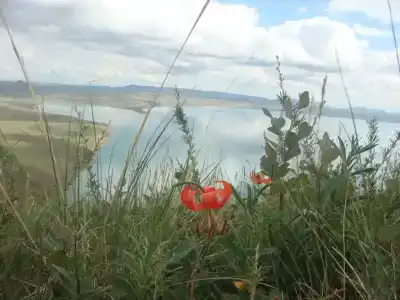 Шамбала - 7