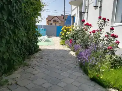 Коралл - 0