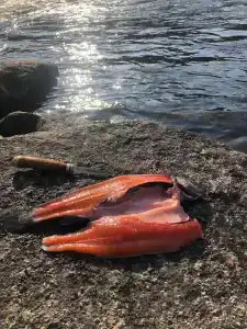 Сегежа Парк - 28