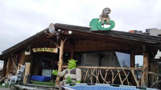 Владимирский край - 74