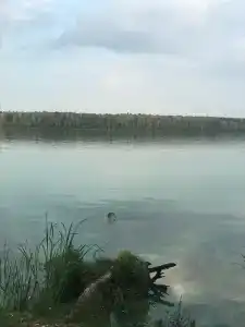 Пестово - 91