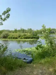 Раздолье - 12