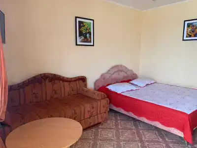 Амир-Дани - 27