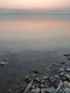 Поляна - 21