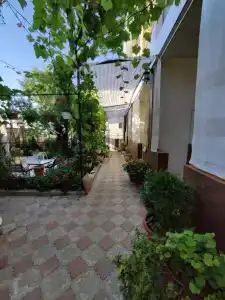 Лавандин - 2