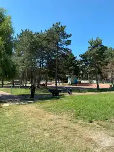 Бимлюк - 64