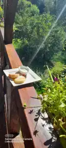 Усадьба Запруднево - 32