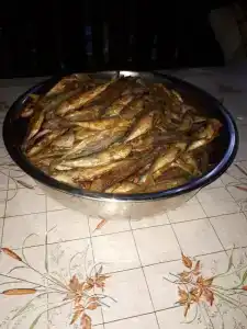 Зеленый дворик - 8