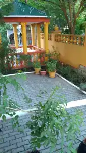 Кленовый лист - 20