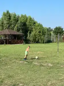 Губерния - 13