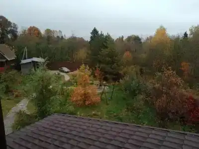 Ясные пни - 20
