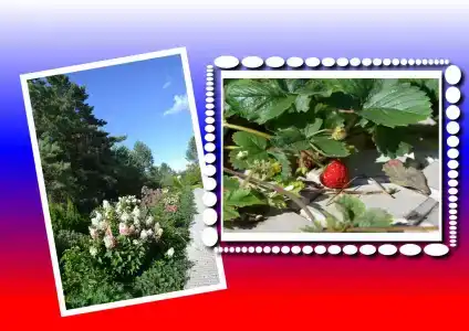 Моховое - 27