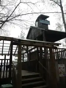 Романтик - 81