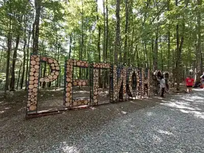 Крымская поляна - 0