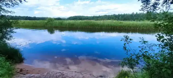 Оредеж - 29