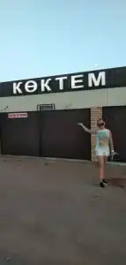 Коктем - 33
