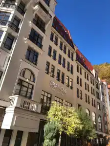 Голден Тюлип - 83