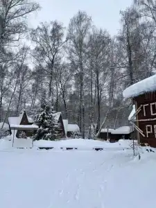 Русский Лес - 40