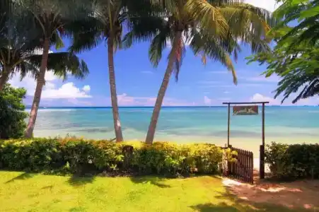 Coconut Grove Beachfront Cottages - 3