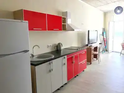 Рапан - 1