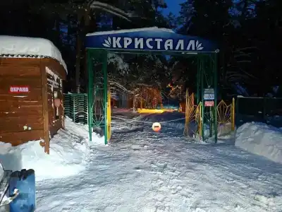 Сосновые дома - 4