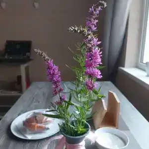 Карельская сказка - 45