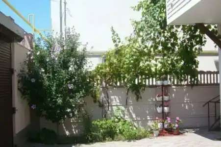 Сердолик - 15