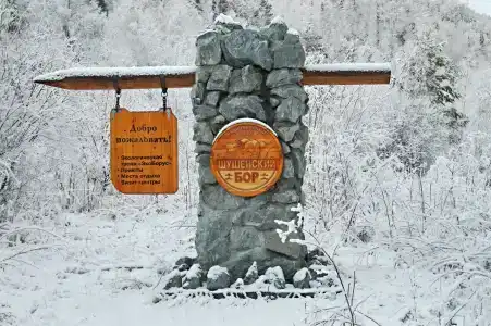 Шушенский бор - 11