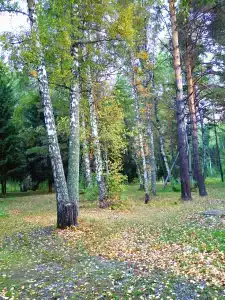 Меркурий - 1