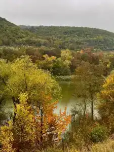 Родное - 11